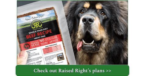 10 Best Pet Food Delivery Chicago 2024 Ranked 10 Best Pet Food Delivery Chicago 2024 Ranked