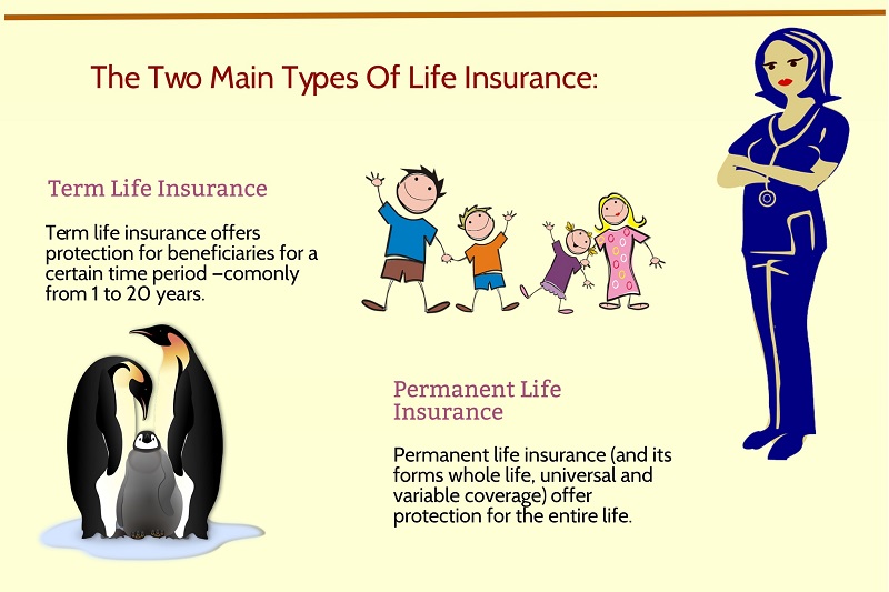 5 Different Types Of Insurance Definition And Types Tech Ideas Daily 5 Different Types Of Insurance Definition And Types Tech Ideas Daily