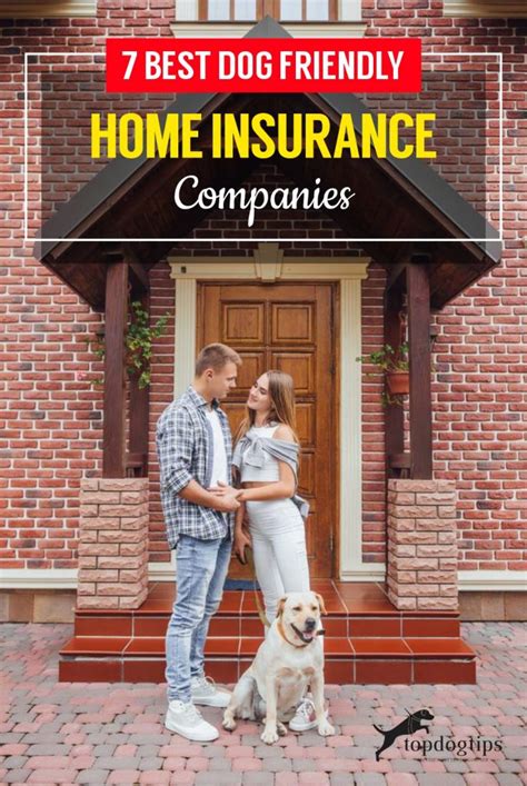 7 Best Dog Friendly Home Insurance Companies For New Homeowners 7 Best Dog Friendly Home Insurance Companies For New Homeowners