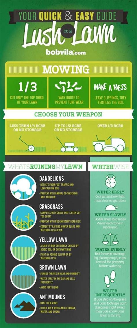 A Guide To Starting A Lawn Care Business Infographic A Guide To Starting A Lawn Care Business Infographic