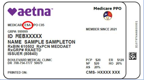Aetna Us Healthcare Insurance