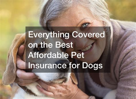 Affordable Dog Insurance Affordable Dog Insurance