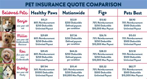 Animal Insurance Price