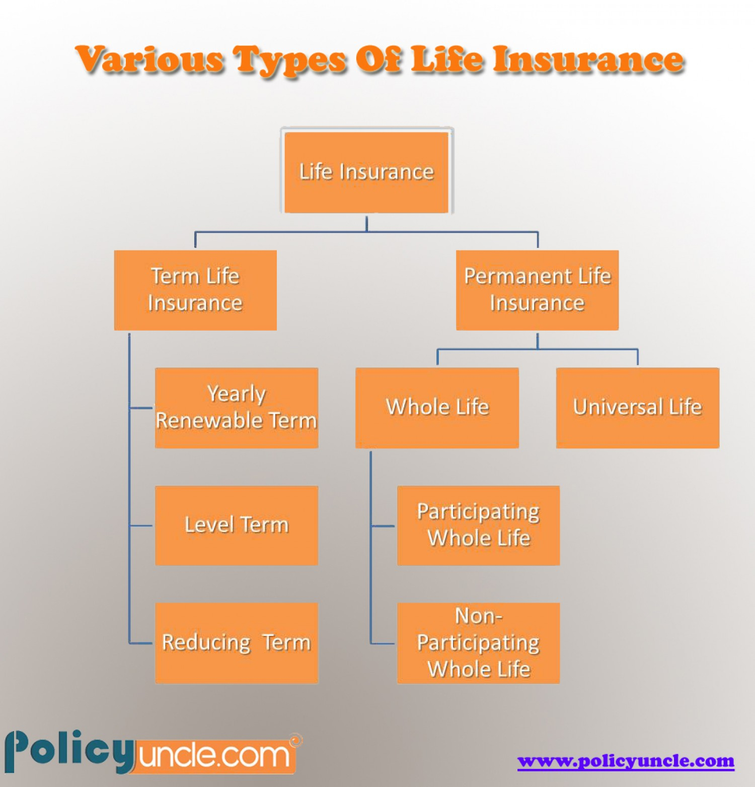 Articles Junction Types Of Life Insurance Policies Life Insurance Articles Junction Types Of Life Insurance Policies Life Insurance