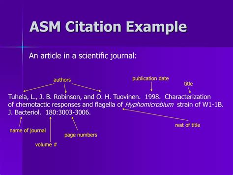 Asm Citation Example Innovative Lists Hub Asm Citation Example Innovative Lists Hub