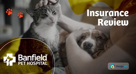 Banfield Pet Insurance Petsmart