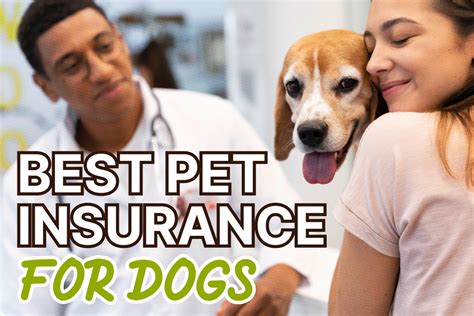 Best Pet Insurance Dogs