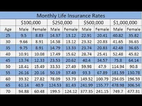 Best Term Insurance Rates