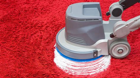 Best Types Of Carpet Cleaning Methods Drymaster Systems Best Types Of Carpet Cleaning Methods Drymaster Systems