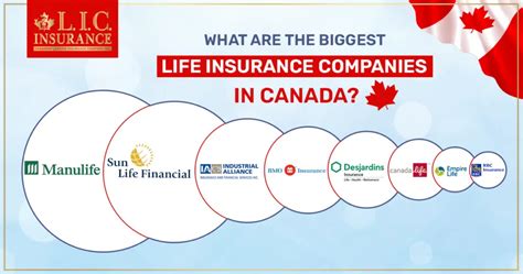Biggest Life Insurance Companies In Canada Biggest Life Insurance Companies In Canada