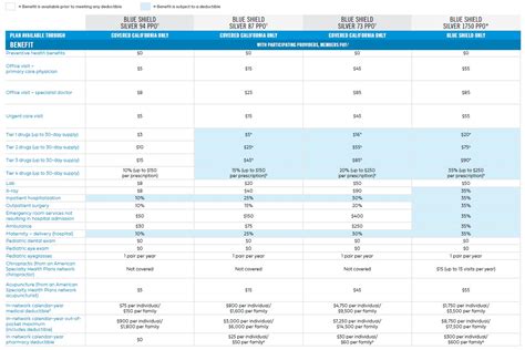 Blue Shield Summary Of Benefits 2024 Jami Rickie Blue Shield Summary Of Benefits 2024 Jami Rickie