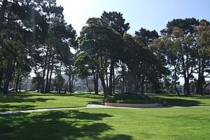California Insurance Group Claims