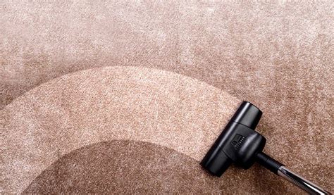 Carpet Cleaning Business Plan Template 2024 Ogscapital