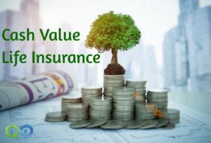 Cash Value Life Insurance Prioritizing Cash Value Growth Vs Death Benefit Cash Value Life Insurance Prioritizing Cash Value Growth Vs Death Benefit