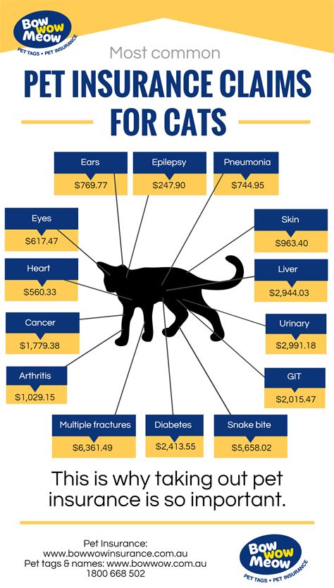 Cat Insurance Health Insurance Claims For Cat Insurance Cat Insurance Health Insurance Claims For Cat Insurance