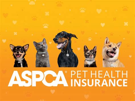 Cheap Pet Insurance Cheap Pet Insurance