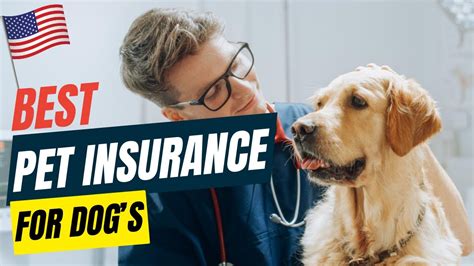Cheapest Pet Insurance For Dogs