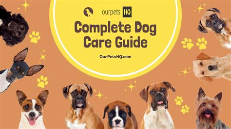 Complete Dog Care Guide 2022 Dogfoodspy Com Complete Dog Care Guide 2022 Dogfoodspy Com