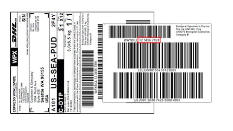 Dhl Express Tracking Number Now Get Automatic Dhl Track And Trace For Dhl Express Tracking Number Now Get Automatic Dhl Track And Trace For