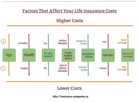 Different Types Of Life Insurance Explanation The Ultimate Guide Different Types Of Life Insurance Explanation The Ultimate Guide