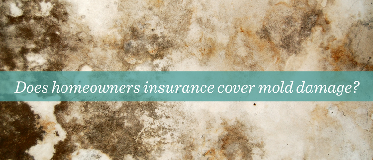 Do Commercial Insurance Policies Cover Mold Damage