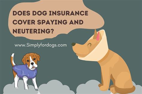 Does Dog Insurance Cover Spaying And Neutering Simply For Dogs Does Dog Insurance Cover Spaying And Neutering Simply For Dogs