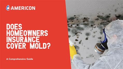 Does Homeowner S Insurance Cover Mold Mold Help For You