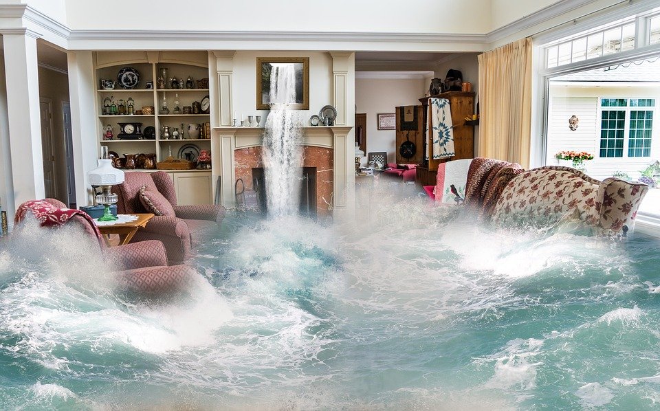 Does My Home Insurance Cover Mold