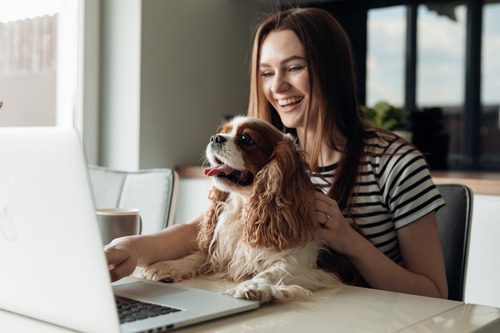 Does State Farm Offer Life Insurance
