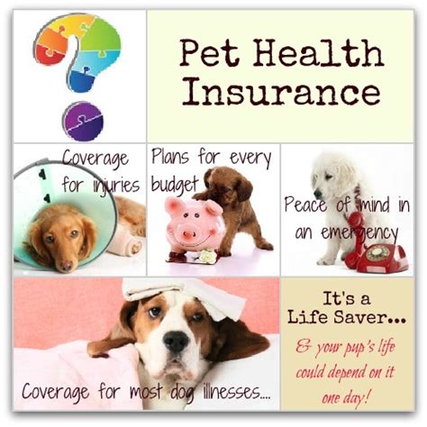 Dog Health Insurance Pet Dog Health Insurance Pet