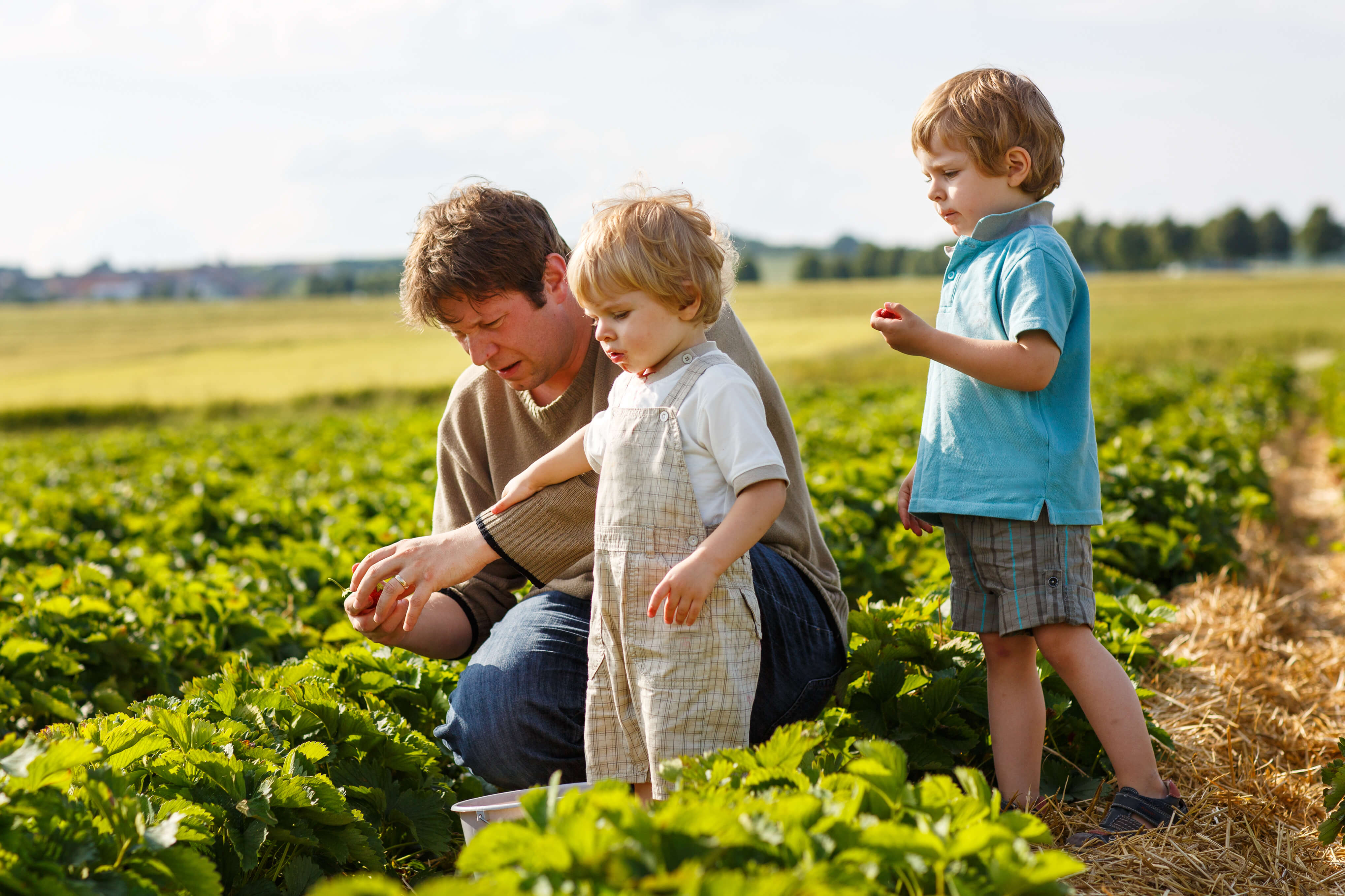 Farms Bureau Insurance