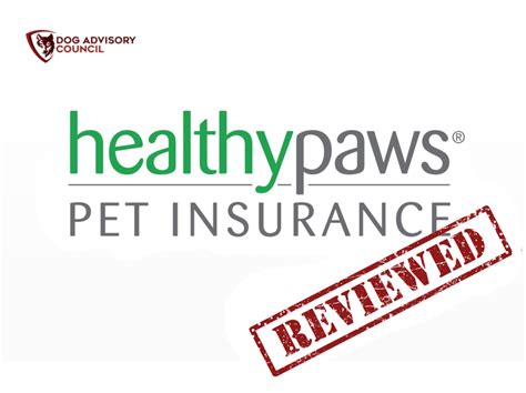Healthy Paws Pet Insurance Coverage Your Pet Needs To Undergo A Healthy Paws Pet Insurance Coverage Your Pet Needs To Undergo A