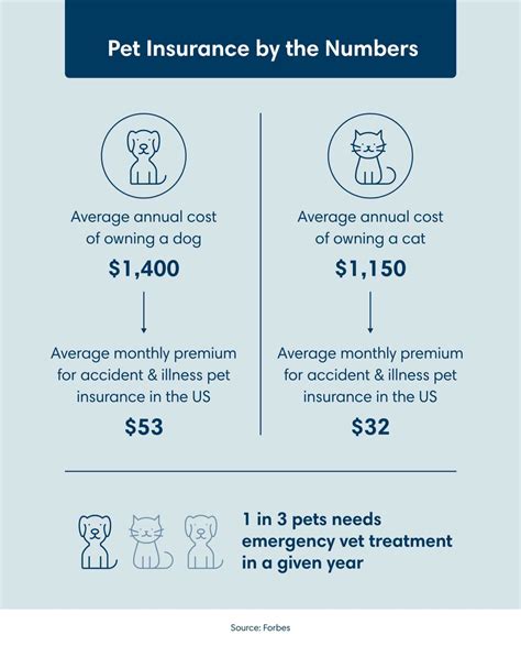 How Expensive Is Pet Insurance