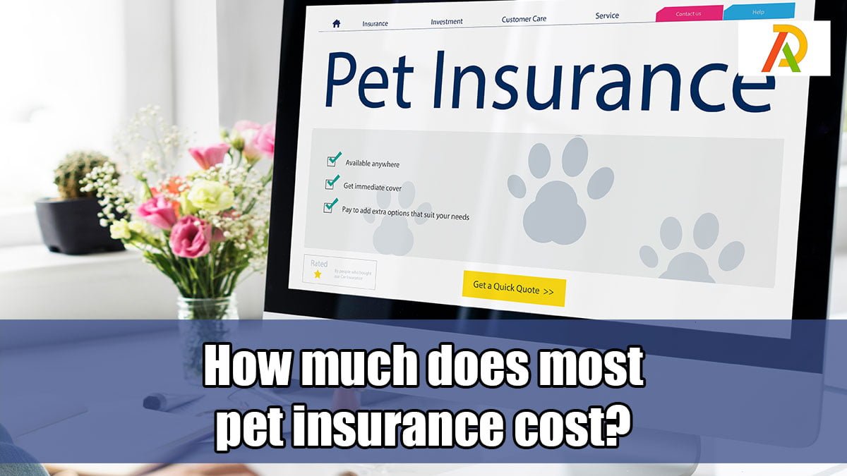 How Much Does Most Pet Insurance Cost Adrosi How Much Does Most Pet Insurance Cost Adrosi