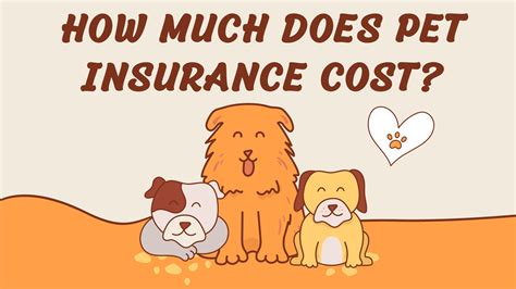 How Much Does Pet Insurance Cost Manypets How Much Does Pet Insurance Cost Manypets