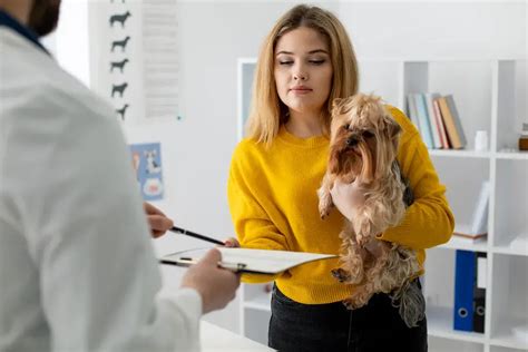 How To Choose The Best Dog Insurance For Your Furry Friend Pets Nurturing How To Choose The Best Dog Insurance For Your Furry Friend Pets Nurturing