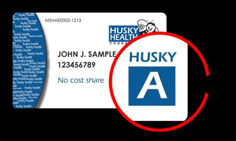Husky Insurance Ct