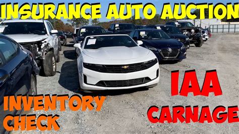 Iaa Insurance Auto Auction Walk Around Carnage Youtube