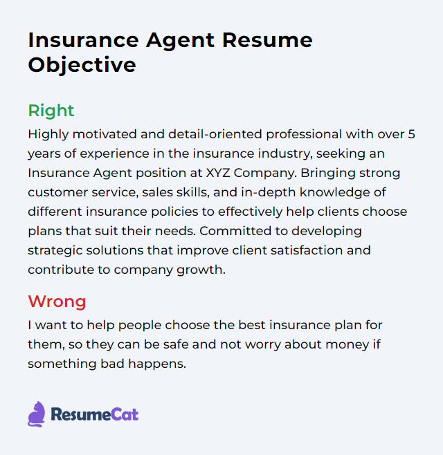 Insurance Agent Resume At Tarmemphisblog Blog Insurance Agent Resume At Tarmemphisblog Blog