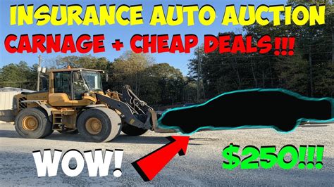 Insurance Auto Auction Iaa Carnage Walk Around We Won 2 More Cheap