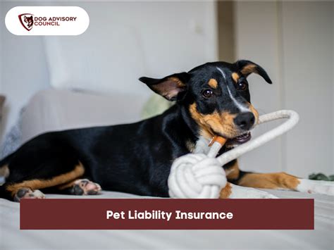 Insurance For Puppies
