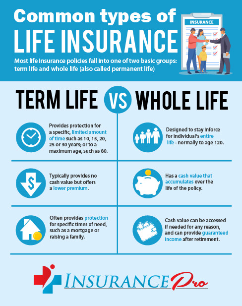 Insurance Life Online Whole