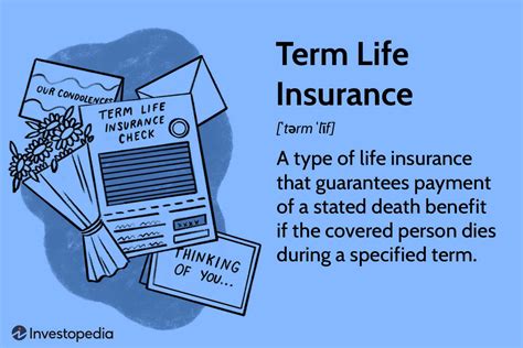 Insurance Life Term