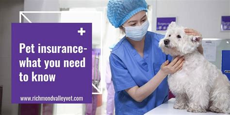 Insurance Vet
