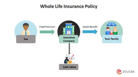 Life Insurance And How It Works