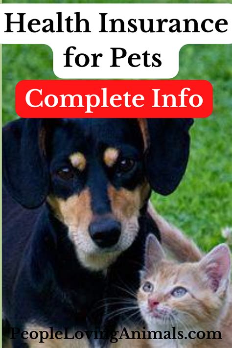 Medical Insurance For Pets