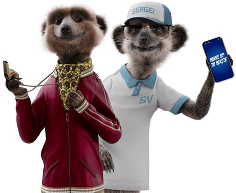 Meerkat Insurance