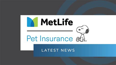 Metlife Pet Insurance Partners With Snoopy License Global Metlife Pet Insurance Partners With Snoopy License Global