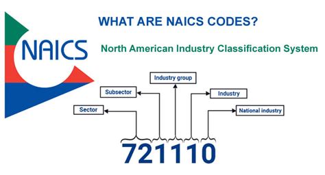 Naic Insurance Code Lookup