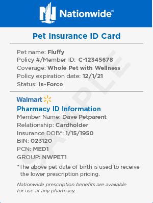 Nationwide Dog Insurance